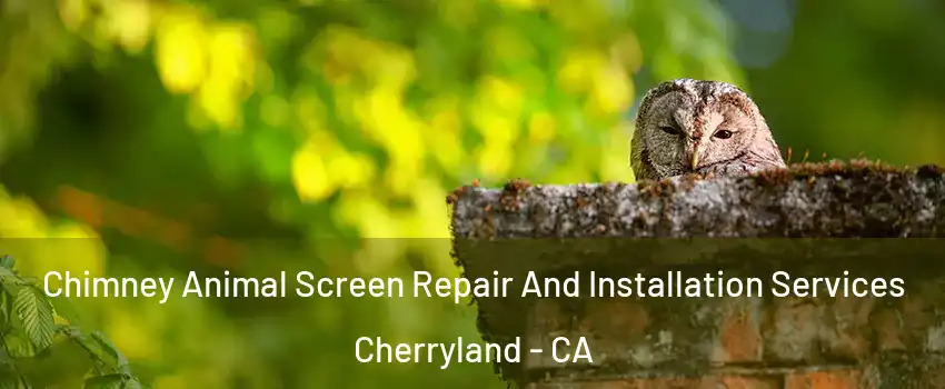 Chimney Animal Screen Repair And Installation Services Cherryland - CA