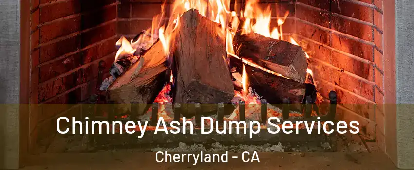  Chimney Ash Dump Services Cherryland - CA