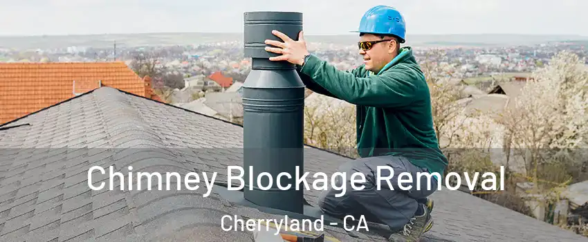  Chimney Blockage Removal Cherryland - CA