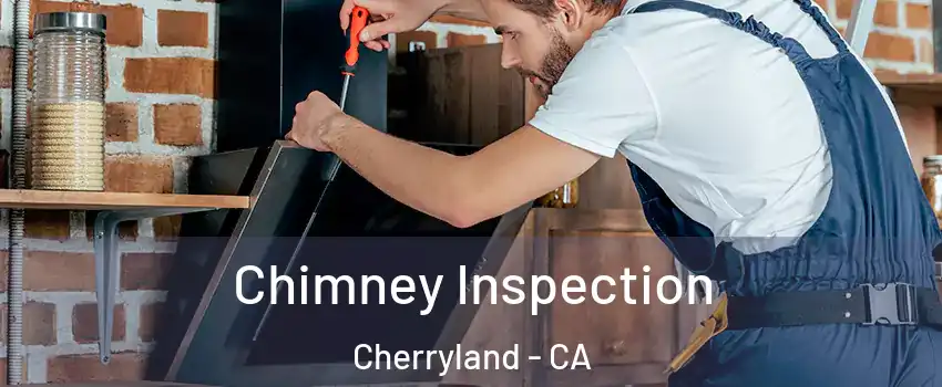  Chimney Inspection Cherryland - CA