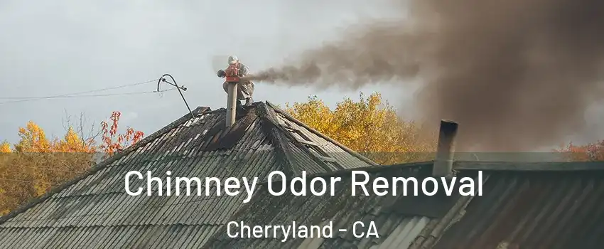  Chimney Odor Removal Cherryland - CA