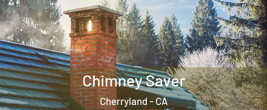  Chimney Saver Cherryland - CA