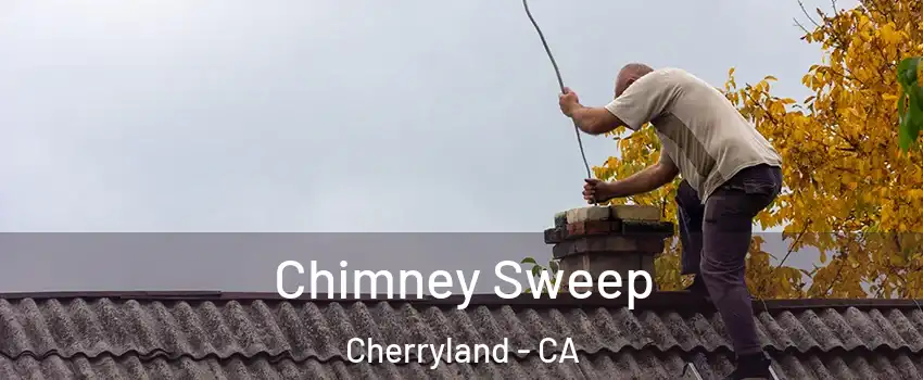 Chimney Sweep Cherryland - CA