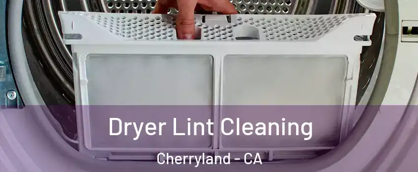  Dryer Lint Cleaning Cherryland - CA