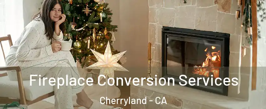  Fireplace Conversion Services Cherryland - CA