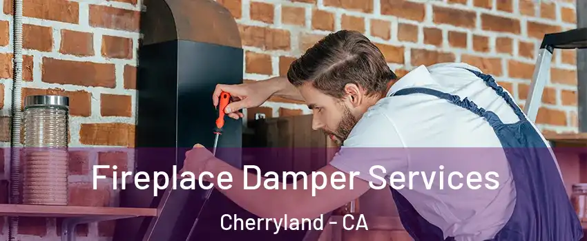  Fireplace Damper Services Cherryland - CA