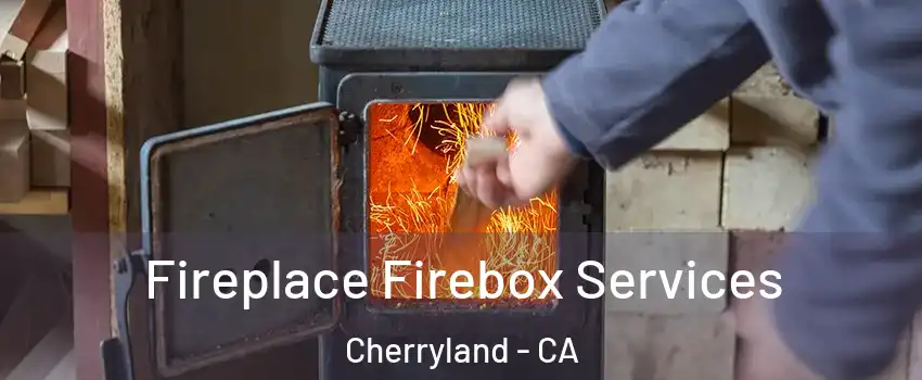  Fireplace Firebox Services Cherryland - CA