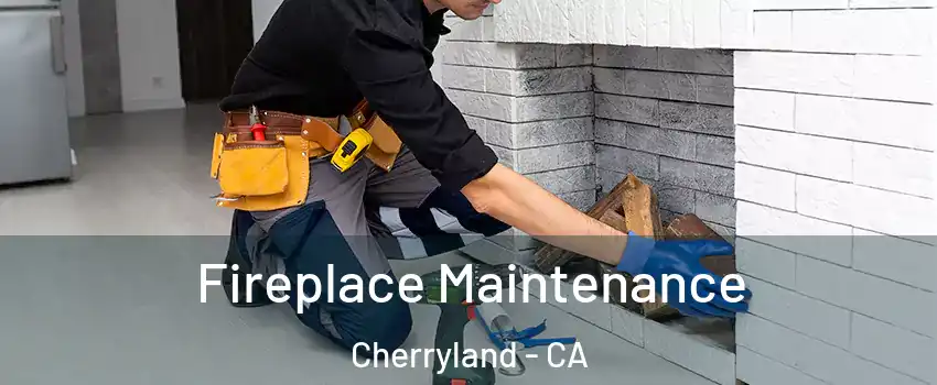  Fireplace Maintenance Cherryland - CA