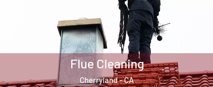  Flue Cleaning Cherryland - CA