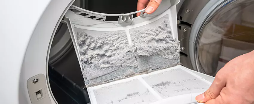 Best Dryer Lint Removal Company in Cherryland, California