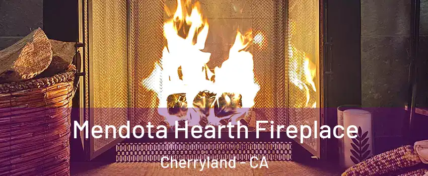  Mendota Hearth Fireplace Cherryland - CA