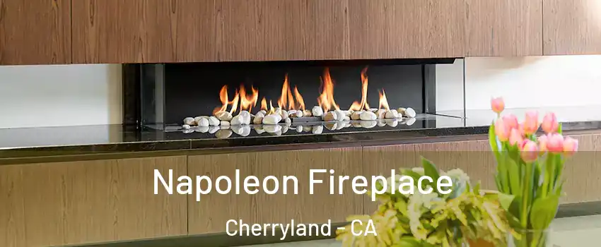  Napoleon Fireplace Cherryland - CA