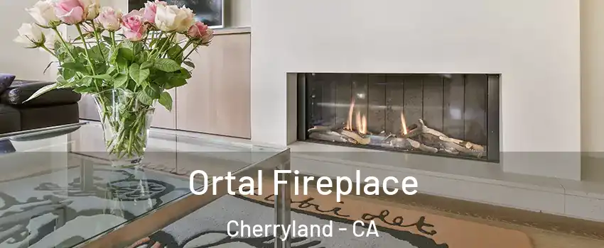  Ortal Fireplace Cherryland - CA