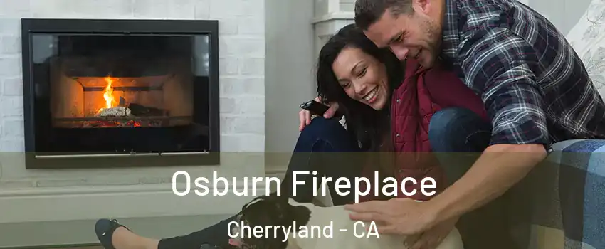  Osburn Fireplace Cherryland - CA